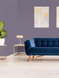 ���� ������������ Hygge 77 Colors C4 07 (1,00�10,05) ���������� (���.)