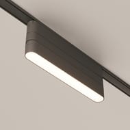 ������ ��� ����������� Maytoni Radity TRA084FC-11LB ������