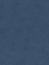     Rasch Kimono (0,5310,05)  408232 (.)