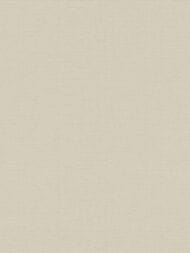 ���� ��������� �� ��������� As Creation Pacifica Deluxe (1,06�10,05) ������� 39992-6 (���.)