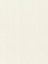 ���� ��������� �� ��������� Rasch Gentle Elegance (1,06x10,05) ���������, ����� 980301 (���.)