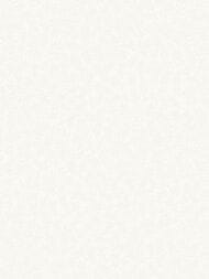 ���� ��������� �� ��������� Wall Up Bright Whisper (1.06x10.05) �����, ������� W189101 (���.)