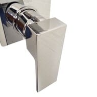    Paini Grazia , , , .,  21CR6911