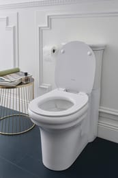  - Jacob Delafon Cleo 1889 UJAC102-0 (670370410) . , 