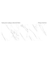 ��������������� ������ Staro Silk Statuario Calipso Matt (600�1200) ��� ������, ����� (��.�.)