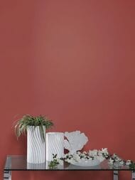 ���� ��������� �� ��������� Rasch Natural Colors (0,53�10,05) �����, ���������� 688061 (���.)