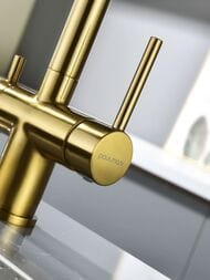 ��������� ��� ����� SERPENTINE, ������������� ������, Se213222-BG, Paulmark