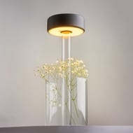 �������������� ���������� Maytoni AI Collaboration (�� �������������) MOD229TL-L3B3K1, 3��, 120�, IP20, LED, ����������