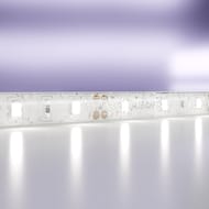������������ ����� Maytoni Led Strip 20006 12� 2835 7,2��/� 6000K 5� IP65, �����