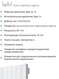 �������� �������� toHit from asthetik sigma, 4 ������, 270�1250�65, 742 ��, ������������, ���������