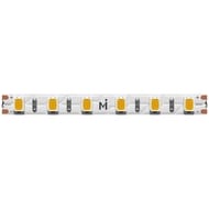 ������������ ����� Maytoni Led Strip 201110 Ultra 24� 2835 9,6��/� 4000� 5� IP 20, �����