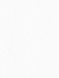 ���� ��������� �� ��������� Marburg New Spirit 31836 (0,53�10,05) ����������, ����� (���.)