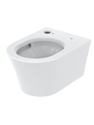   TOTO RG (380580335)  , ,   CW553EY