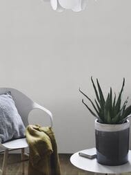 ���� ��������� �� ��������� Rasch Allegretto (0.53x10.05) ���������, ����� 479447 (���.)