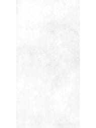 ������ ��������� Alma Ceramica Richard (249x500) ����� TWU09RCD000 (��.�)