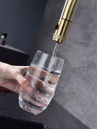 ��������� ��� ����� GALANT, ������� ������, Ga213077-LG, Paulmark