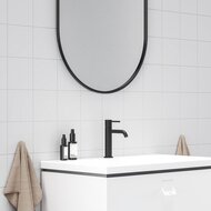 ��������� ��� ����������� RAVAK Espirit X070273 �������������, ����� 100 ��, ������ �������