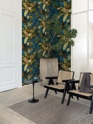 ���� ��������� �� ��������� Grandeco Asperia A 55801 (0,53�10,05) �����, ����� (���.)