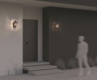 ��������� ���������� Maytoni Albion (�������) O413WL-01BZ1, E27�1 60�� IP 44, ������