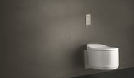 Клавиша смыва Grohe Arena Cosmopolitan S 37624000 130х172мм, хром