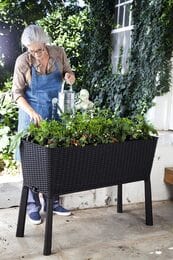  KETER EASY GROW (114x49,3x75,5)  , 