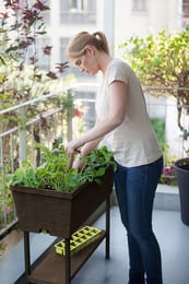 ����� KETER URBAN BLOOMER XL (82�38.3�78), 48 �, �� ������, ����������, 17204411
