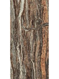   Atlas Concorde Epos Jurassic Lapp (6001200)  610015000597 (..)