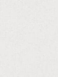 ���� ��������� �� ��������� As Creation Pacifica Deluxe (1,06�10,05) ����� 3994-10 (���.)