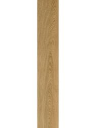   ColiseumGres Ducale Nut (20012009)  610010003503 (..)