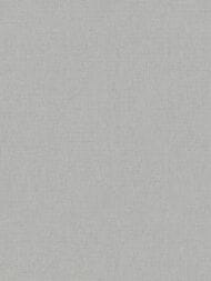 ���� ��������� �� ��������� As Creation Pacifica Deluxe (1,06�10,05) ����� 39992-5 (���.)