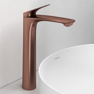 ��������� ��� �������� Abelsberg Perfecta INF60102BC �������, �������� ����