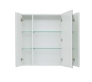 �������-���� Aquanet ������ 100 (1000�850�172) 3 ������, ��� ���������, ����� 235344