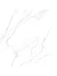 ��������������� ������ Alma Ceramica Nevada (600x600) ����� GFU6060NVD07L (��.�)