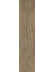 ��������������� ������ Alma Ceramica Sandal (200x900) ���������� GFA92SND44R (��.�)