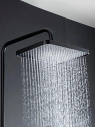 ������� ������� � ���������� �������, ������ � ������� ����� , FRAP ������, F2487-6