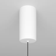 ��������� ���������� Maytoni Ray (���) P022PL-L20W3K, 3000K, 20��, 360�, IP20, LED, �����