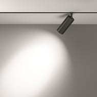�������� ���������� Maytoni Focus Led Exility (����� ���) TR032-2-20W3K-S-B 3000K 20�� 24�, IP20, ������