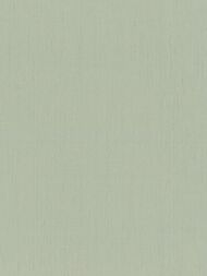     Rasch Indian Style (0,5310,05) , - 746136 (.)