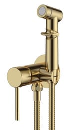 Смеситель встраиваемый ESKO SMHGold однозахватный, с гигиеническим душем, цвет: золото