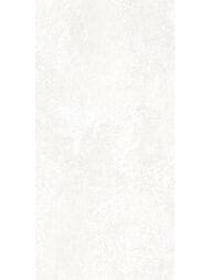 ������ ��������� Alma Ceramica Piemonte (249x500) ����� TWU09PMT004 (��.�)