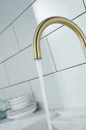 ��������� ��� ����� ESSEN, ������, Es213211-BR, Paulmark