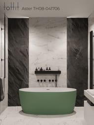    toHit Aster 1700760580,  , , TH08-041706