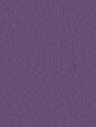 ���� ��������� �� ��������� Casadeco Haussmann (0,53�10,05) ����-����������  8208 53 55 HAUS (�����)