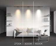 �������� ���������� Maytoni Points (������) TR193-1-10W3K-M-B Levity 3000� 10�� 30�, IP20, ������