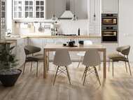   Lasselsberger  (200600) ,  6264-0006 (..)