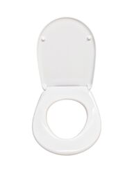 Сиденье с крышкой с микролифтом для унитаза Ideal Standard AREAL белое W302301