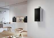 ������������� ���� ARISTON ALTEAS XC 30 FF NG (770x400x315) 30���