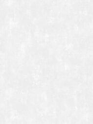 ���� ��������� �� ��������� Grandeco Universe 5 (1,06�10,05) ����������, ����� VR 1109 (���.)