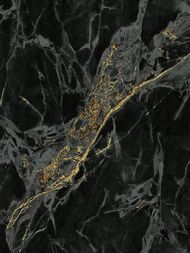 ���� ��������� �� ��������� Wiganford Lunman (1,06�10,05) ����������, ������, ER1709 (���.)