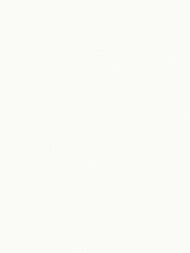 ���� ��������� �� ��������� Wall Up Step-Up (1.06x10.05) ���������, ����� W187001 (���.)